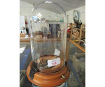 GOOD QUALITY BEECHWOOD SOCLED GLASS DOME WITH MUSICAL MOVEMENT