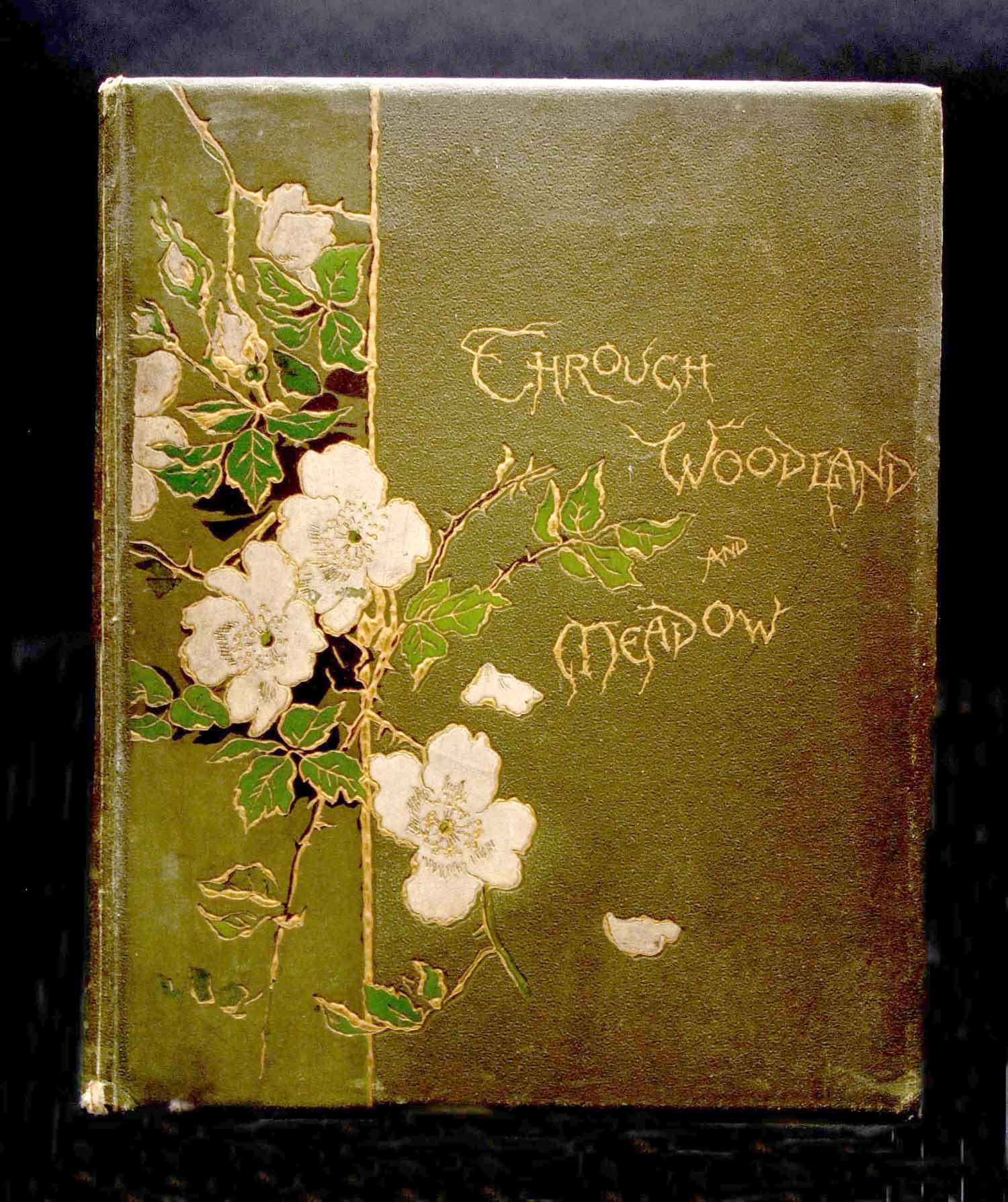 [HELEN J WOOD AND OTHERS]: THROUGH WOODLAND AND MEADOWS AND OTHER POEMS, illustrated Marie Low and