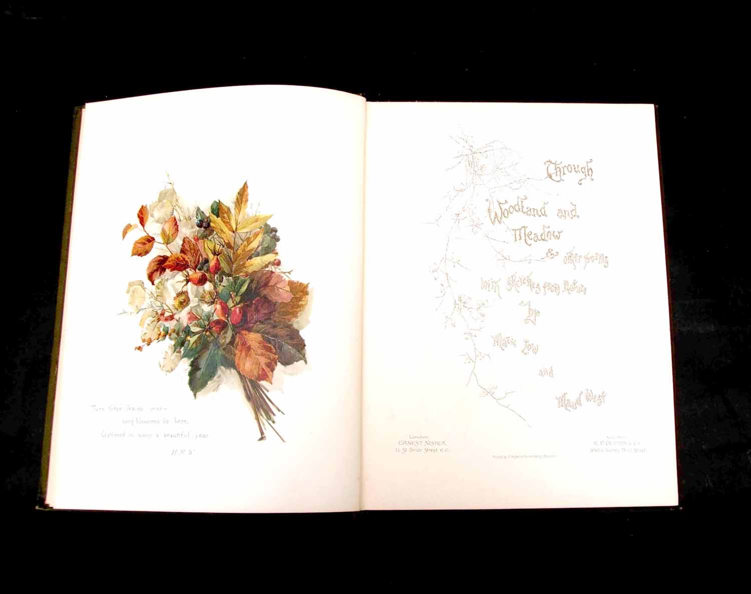 [HELEN J WOOD AND OTHERS]: THROUGH WOODLAND AND MEADOWS AND OTHER POEMS, illustrated Marie Low and - Image 2 of 2