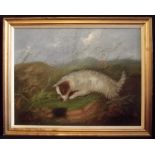 W GREGORY (19th Century) Terrier Dog Ratting, Oil, signed lower left 38 x 50cms