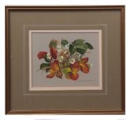 •AR Pamela Davis, VPRMS, SWA, FSBA (20th century), "Strawberry plant", watercolour, signed lower