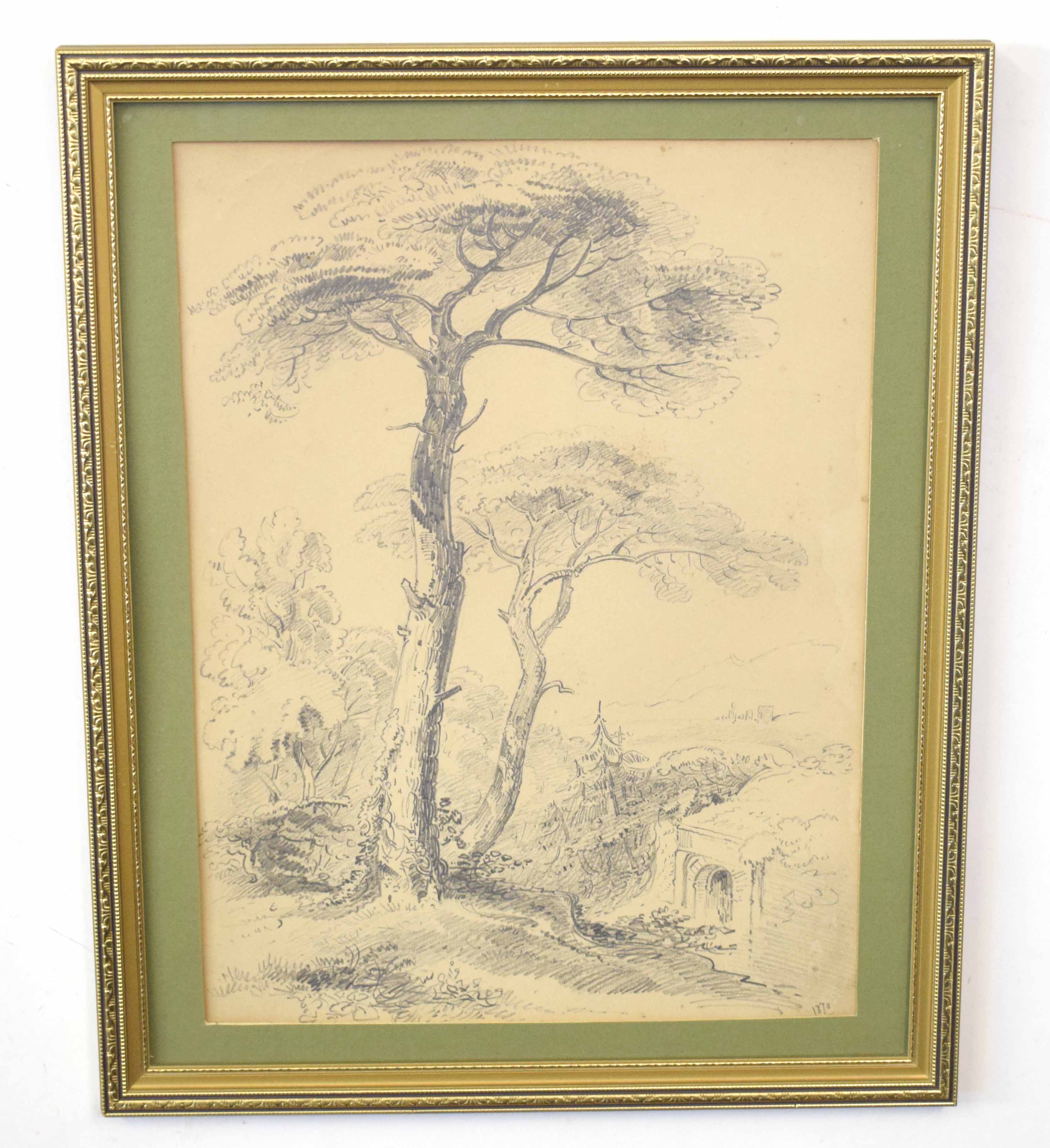 19th century English School pencil drawing, Landscape with tree, 34 x 25cm