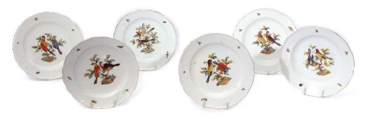 Group of six Meissen ornithological plates decorated to the centre with birds, with insects and