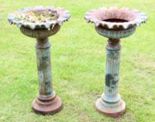 Pair of Victorian cast iron pedestal planters of circular form with crimped rims, raised on ring