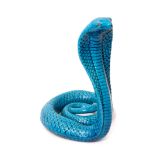 Pottery model of a rearing cobra in a turquoise glaze, possibly Bermantofts, the snake's eyes picked