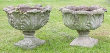 Pair of weathered cement or composition small pedestal garden urns with swept scroll borders, 46cm