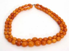 Amber bead double string necklace of graduated form, 9mm to 15mm, 40.7gms