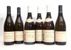 Domain Amiot Quy et Fils St Aubin Premier Cru en Remilly 1995 (3), Domain de la Truffiere Savigny