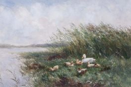 Constant Artz (1870-1951), Ducks by waters edge, watercolour, signed lower right, 34 x 50cm