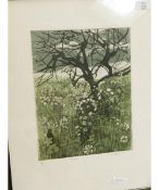 SCREEN PRINT BY J WHITEFORD HEDGEROW (15/25)