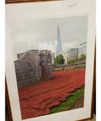 FRAMED AND SIGNED PHOTOGRAPH OF POPPIES