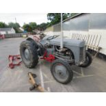 Ferguson T E F vintage tractor, year 1953, no TEF267642, Reg NNG629, this very original tractor