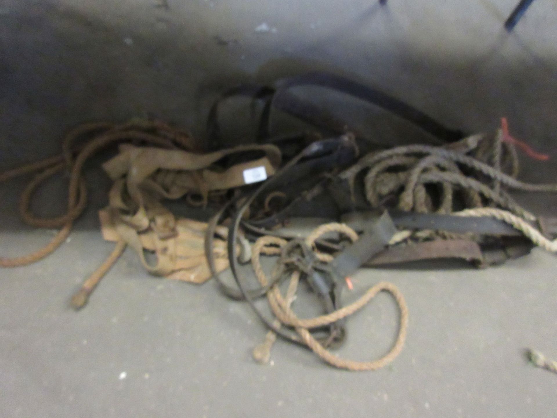 Quantity various horse harness etc