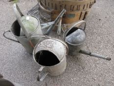 Three various galvanised watering cans