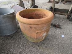 Terracotta moulded planter