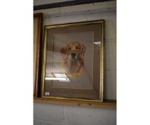 FRAMED OIL OF A RED SETTER BY MARY BROWNING