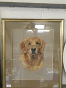 OIL IN A GILT FRAME OF A RED SETTER BY MARY BROWNING