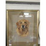 OIL IN A GILT FRAME OF A RED SETTER BY MARY BROWNING