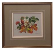 AR Pamela Davis, VPRMS, SWA, FSBA (20th century), "Strawberry plant", watercolour, signed lower