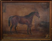 One indistinctly signed pair of oils on canvas, Horse studies, 62 x 82cm (2)