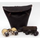 Black leather case containing a pair of binoculars