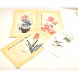 Interesting group of three Chinese School watercolours of plants and insects, all signed with