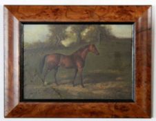 J A Cole, signed modern oil, Horse in landscape, 16 x 24cm