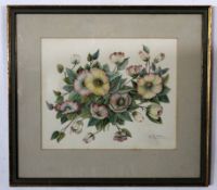 Betty Howe, signed group of three watercolours, Botanical studies, assorted sizes (3)