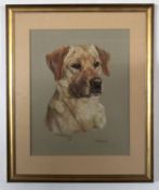 Mary Browning, signed and dated 94, pastel, "Tolley (dog study)", 43 x 34cm