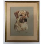 Mary Browning, signed and dated 94, pastel, "Tolley (dog study)", 43 x 34cm