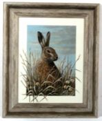 Mark Chester, signed acrylic, "Resting hare", 28 x 20cm