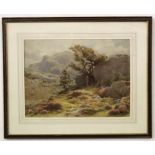 A MacDonald, signed and dated 1903, watercolour, Moorland scene, 34 x 45cm