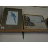 FIVE MIXED FRAMED ORNITHOLOGICAL PRINTS, TOGETHER WITH TWO MIXED MEDIA PICTURES OF BEACH SCENES