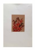 Robert Jones (20TH CENTURY) Birds etc, group of 8 limited edition silkscreens, 7 signed and