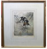 •AR Henry Wilkinson (1921-2011) Spaniel with pheasant, coloured etching, signed and numbered 142/150