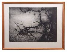 Siamkouri Magda (Born 1951) Trees, black and white etching, signed, dated '88 and numbered 6/15 in