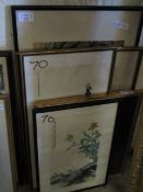 GROUP ASSORTED PRINTS , ORNITHOLOGICAL PRINTS ETC