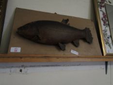 TAXIDERMY OF A FISH ON A BOARD