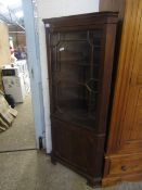 19TH CENTURY MAHOGANY ASTRAGAL GLAZED CORNER CUPBOARD WITH PANELLED DOOR ON OGEE BRACKET FEET