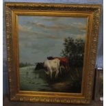 19th century English School oil on canvas, Cattle watering, 59 x 49cm