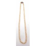 Single row of cultured pearls, uniform size, (6mm approx), 240mm drop, on a later magnetic catch