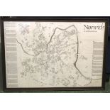 DAVID LUCKHURST: NORWICH AN ARCHITECTURAL MAP, 1981, framed and glazed, approx 1000mm x 670mm,