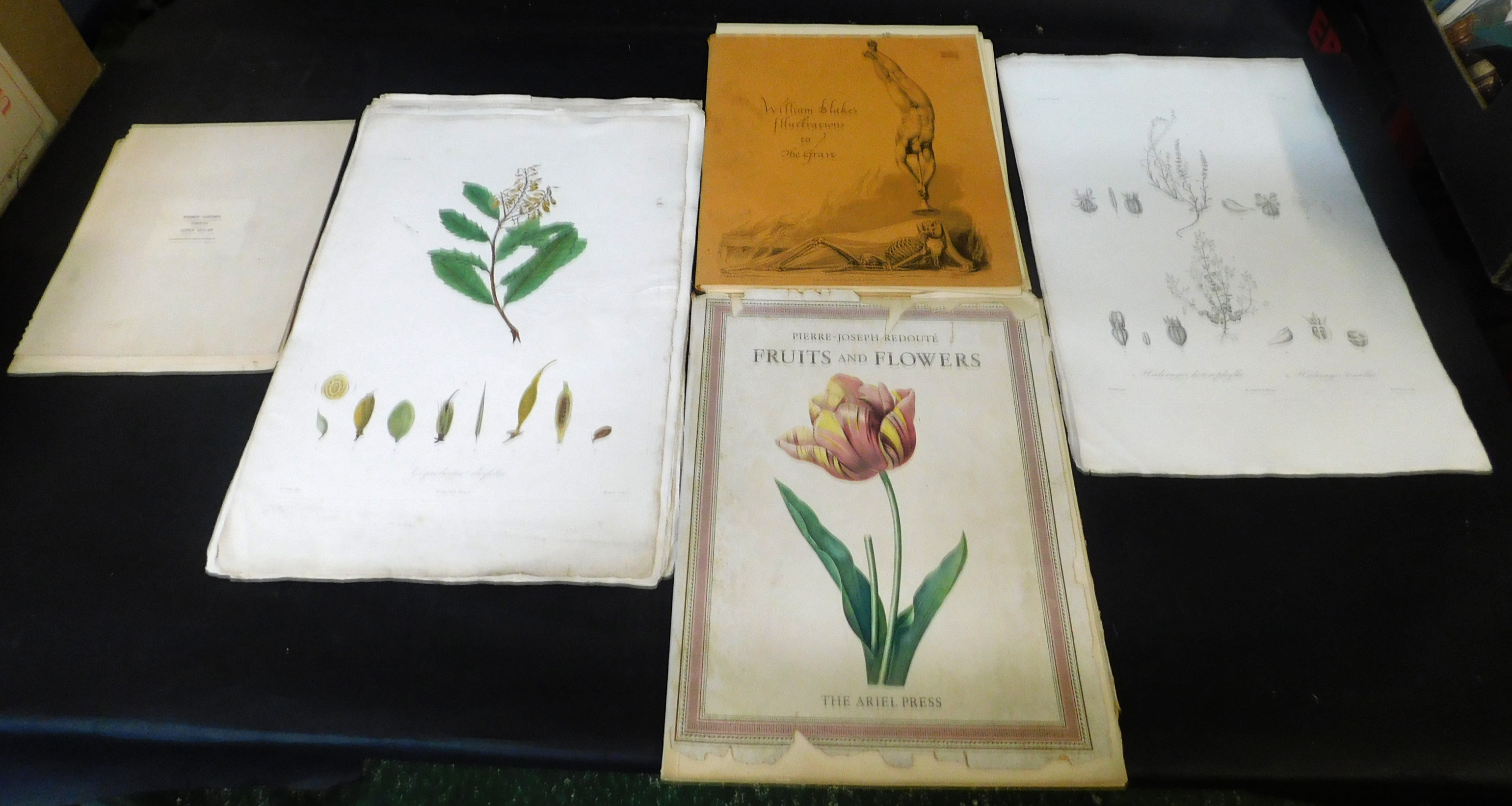 Folder assorted prints etc comprising 21 N Remond 19th century botanical prints (one hand coloured),