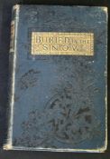 FRANZ HOFFMAN: BURIED IN THE SNOW, London, Ward Lock [1879], 7 plates, 10pp adverts at end, 12mo,