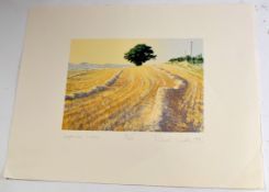 Richard Wardle (20th century), "September Lines", coloured print, signed, dated 1991, numbered 10/