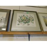 BETTY HOWE, SIGNED GROUP OF THREE WATERCOLOURS, BOTANICAL STUDIES, ASSORTED SIZES (3)