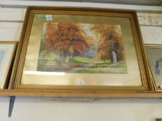 L A COATES, SIGNED WATERCOLOUR, WOODED LANDSCAPE, 34 X 52CM