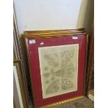 FOUR GILT FRAMED BOOK PLATES OF ARCHITECTURAL WINDOWS AND CEILING BOSSES