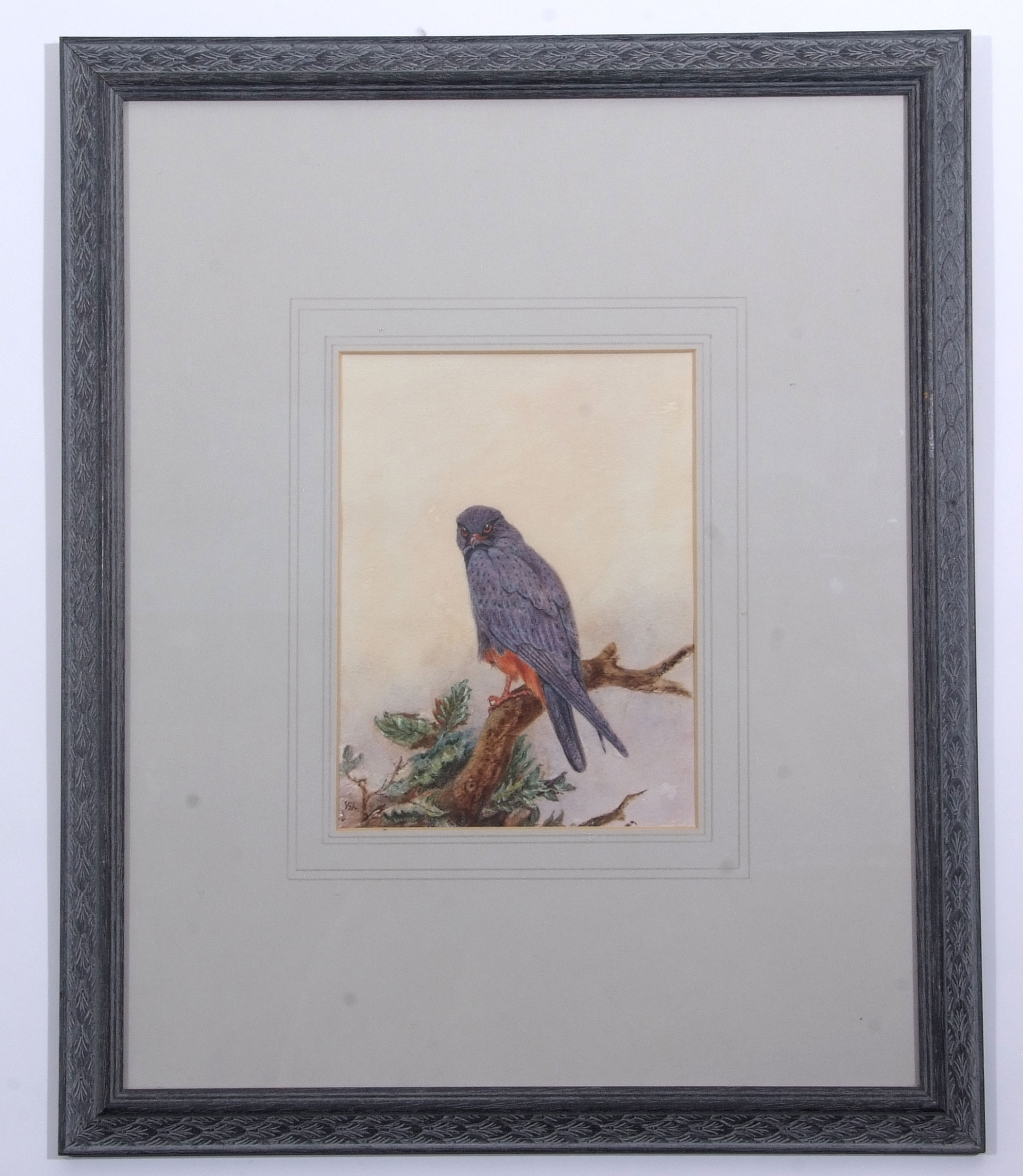 Johannes Gerardus Keulemans (1842-1912) Orange Legged Hobby watercolour, initialled lower left - Image 2 of 2