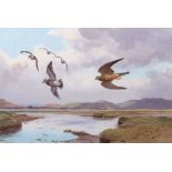 AR John Cyril Harrison (1898-1985) , "Merlin and Golden Plover", watercolour, signed lower right ,